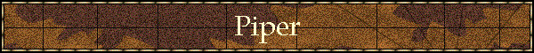 Piper