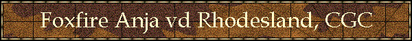 Foxfire Anja vd Rhodesland, CGC