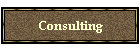 Consulting