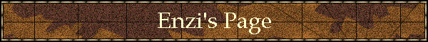 Enzi's Page