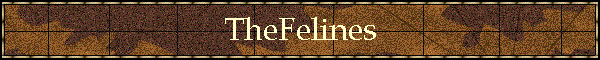 TheFelines