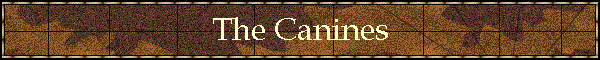 The Canines