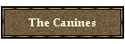 The Canines